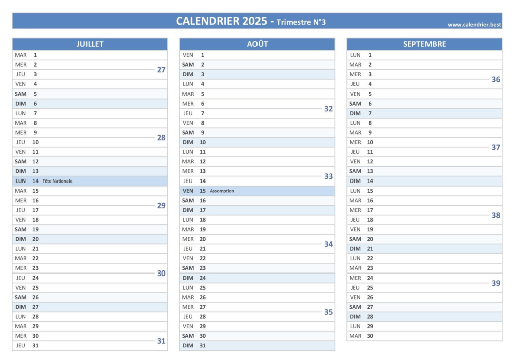 image ossagvbyg2.png