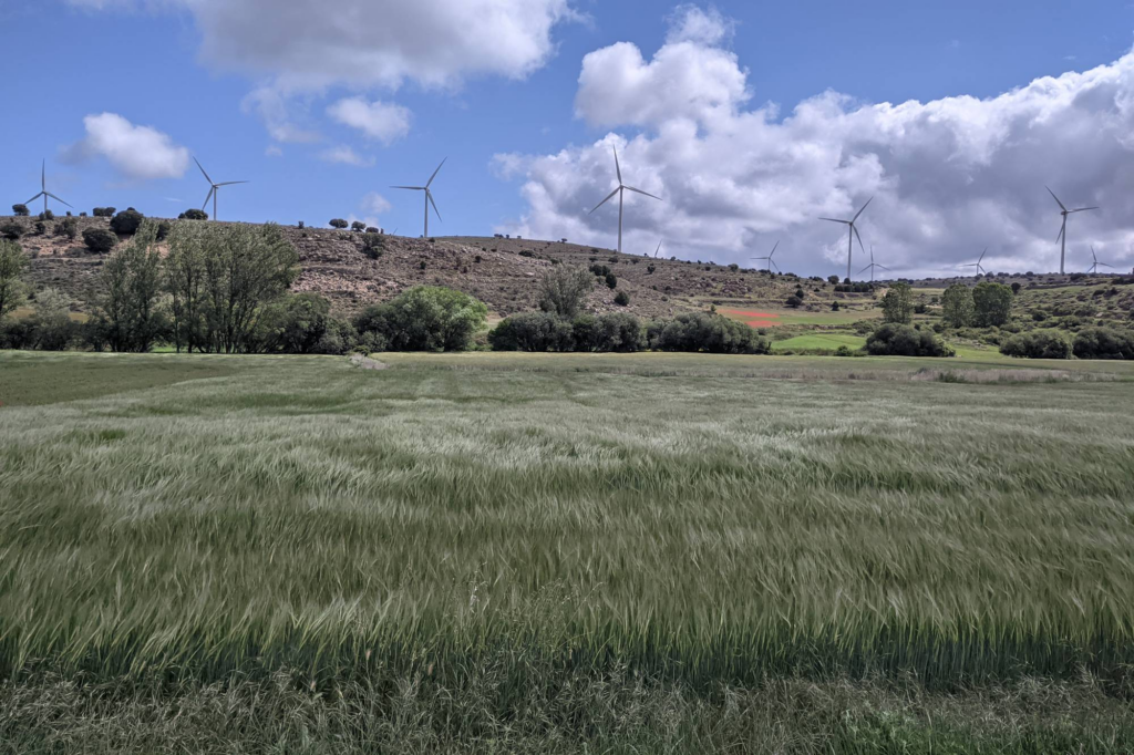 image d8632e25 b215 4b2c 8f04 0b056b8e4d56.png