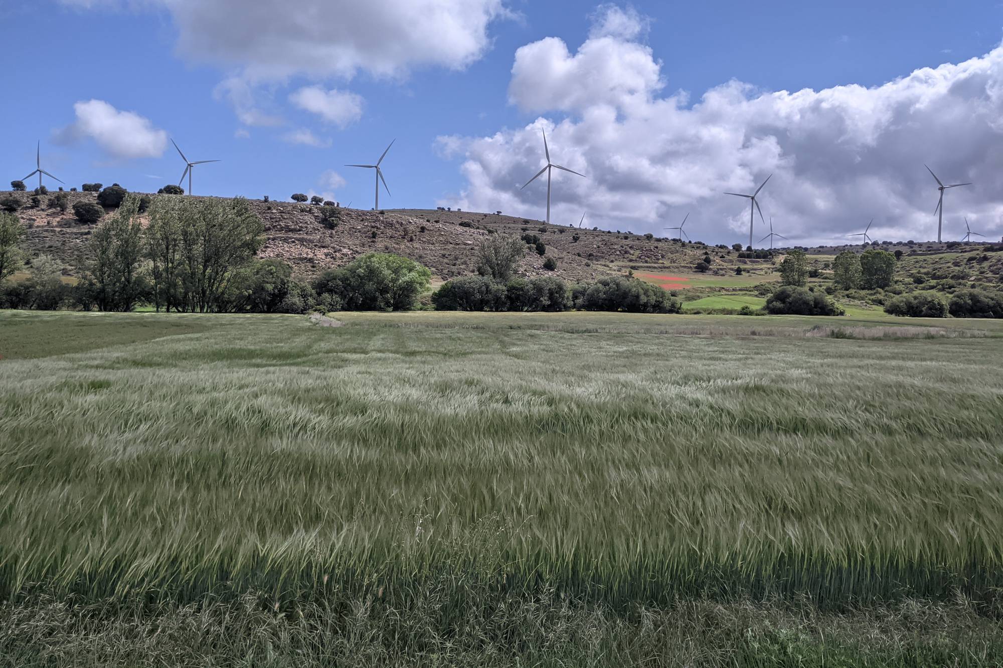 image d8632e25 b215 4b2c 8f04 0b056b8e4d56.png