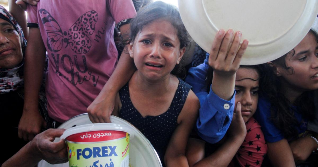 image 1ec5fa5f 5d78 4962 bea1 3f21285a58f1.png