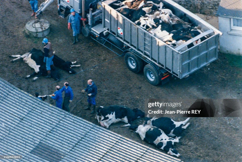 image 2a1aa53e 74f0 4639 bf6a 74c7c85a5b1a.png