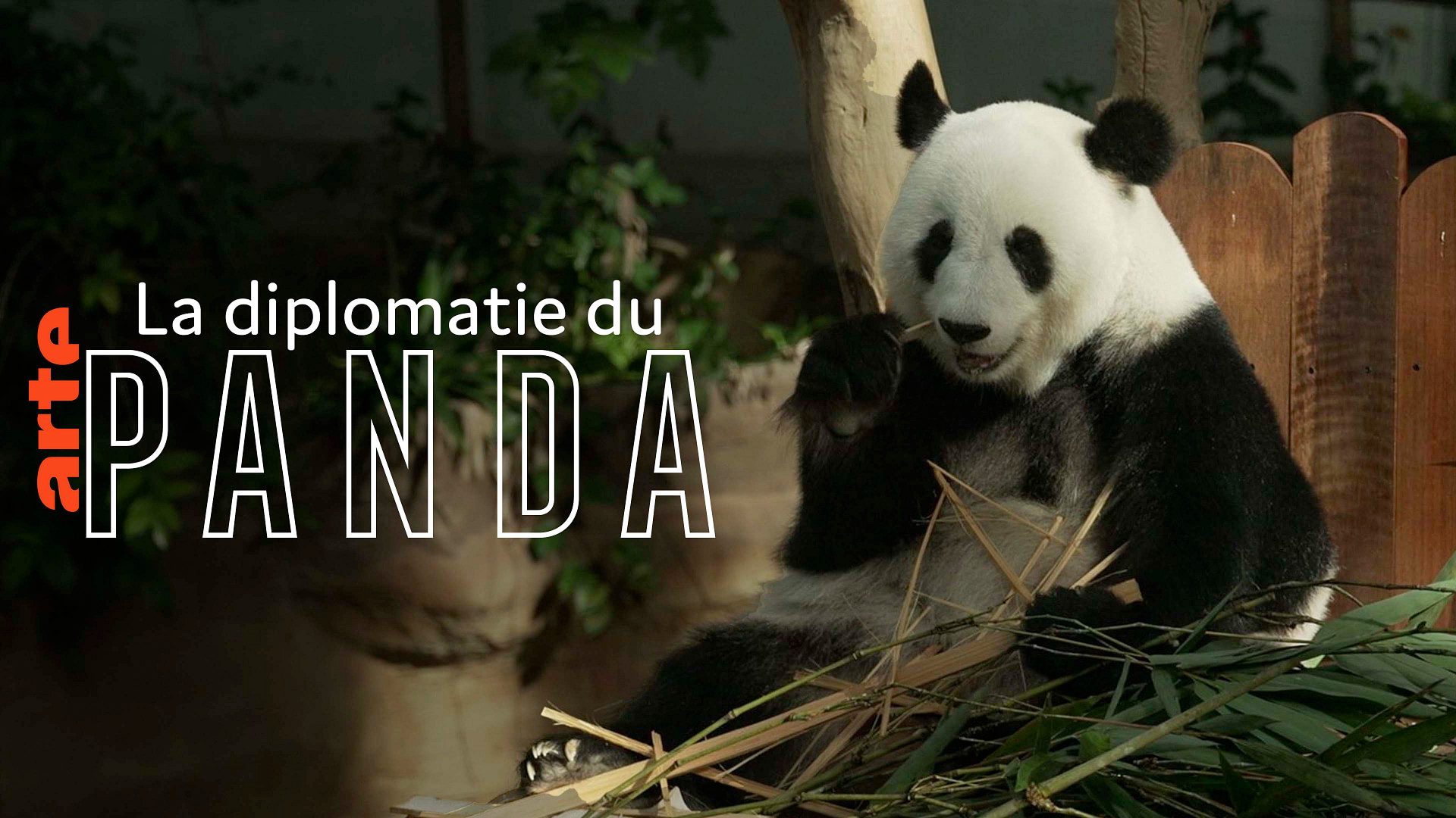 image 2f1c16dc 37f7 487e 8769 30158c88b55f.png