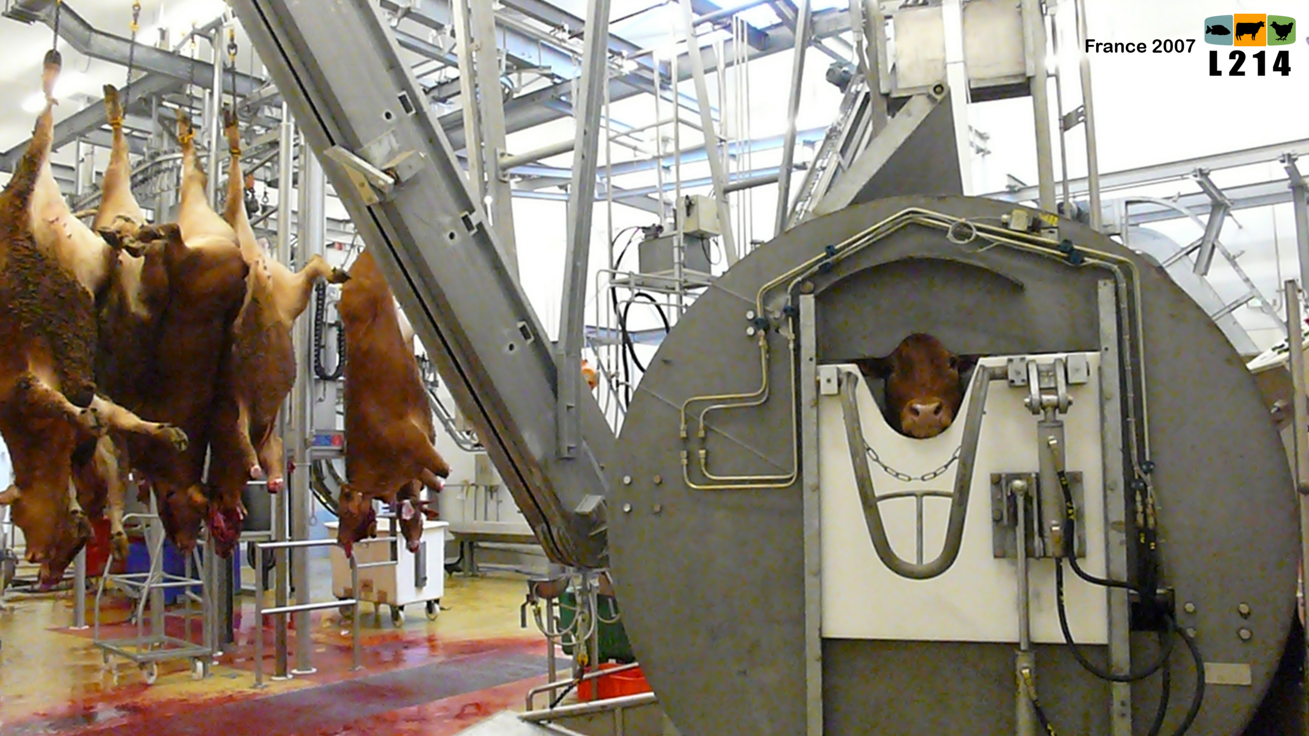 image 58662c6d 30c7 468a 9779 f9cd975ac531.png