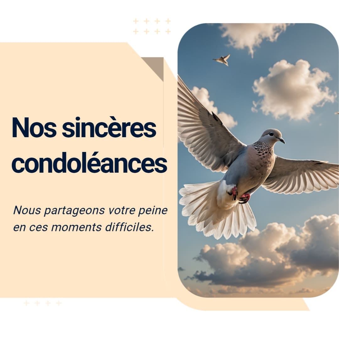 Condoléances cyclone Ditwah : La France soutient le Sri Lanka image 9c04a040 733a 49fc 8a1e 9aeb06346cfa.png