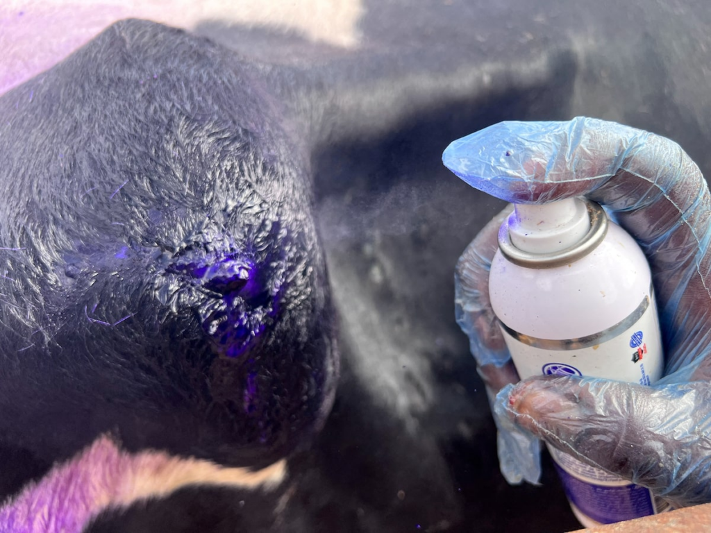 image a0422d76 1b7e 4f83 9386 983fdc48ae1e.png