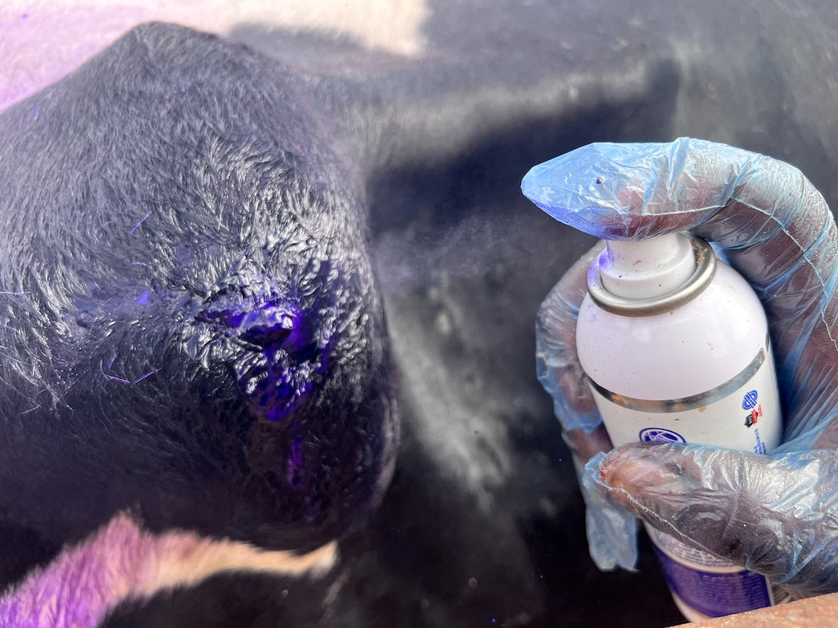 image a0422d76 1b7e 4f83 9386 983fdc48ae1e.png