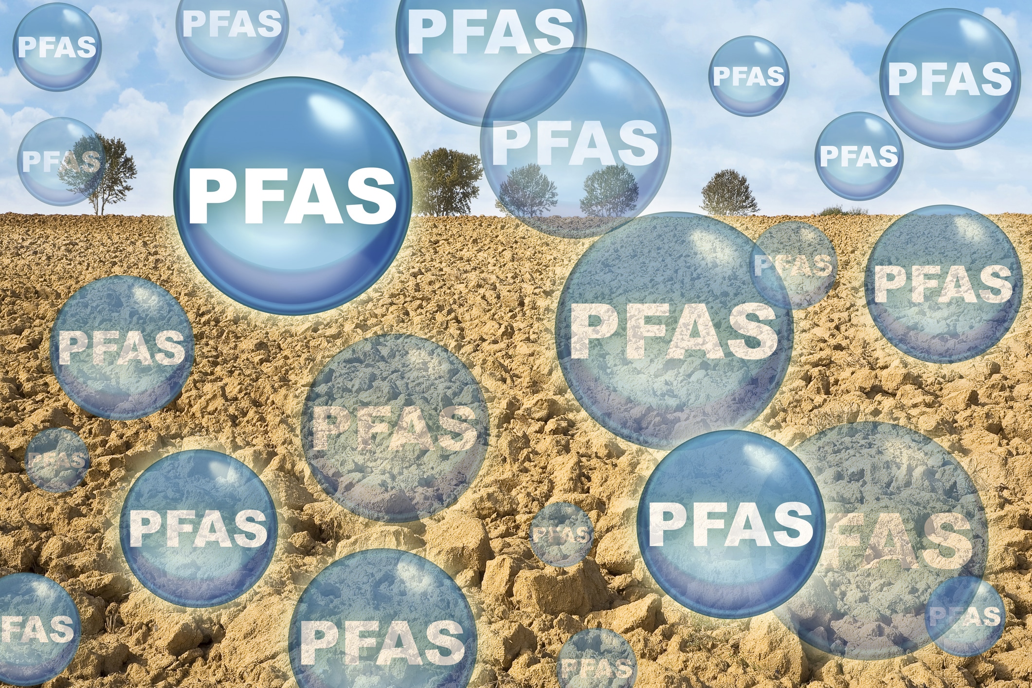 image de5c46e1 654d 4881 9894 634202515452.png