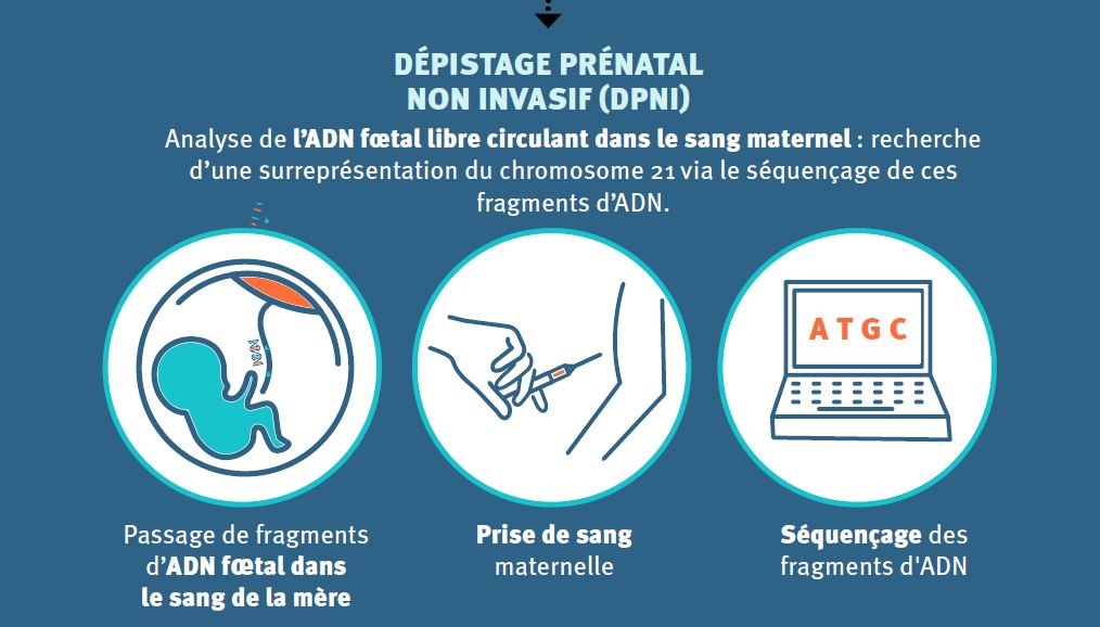 image 7c31a71b f9ac 4b81 a922 7f9bb0b635b1.png