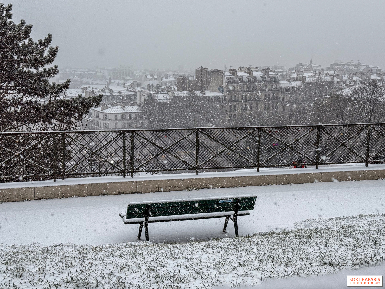 image 948e628b fd9c 4670 b5e7 5d8ec9d0a63a.png