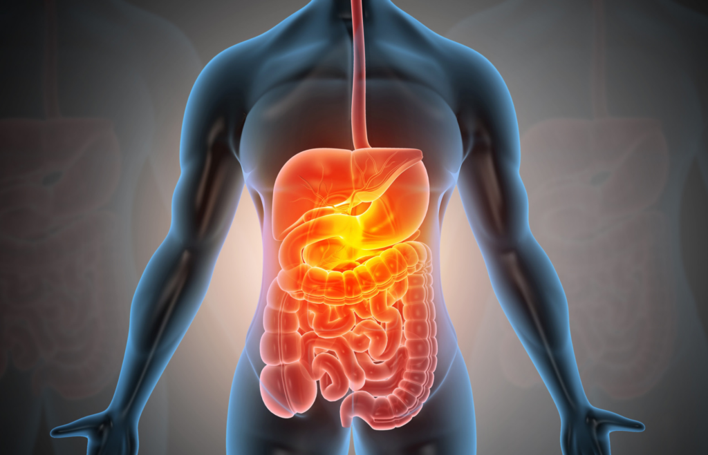 image 0bbe1778 ff3b 4b16 897a 5265e6bf4f93.png