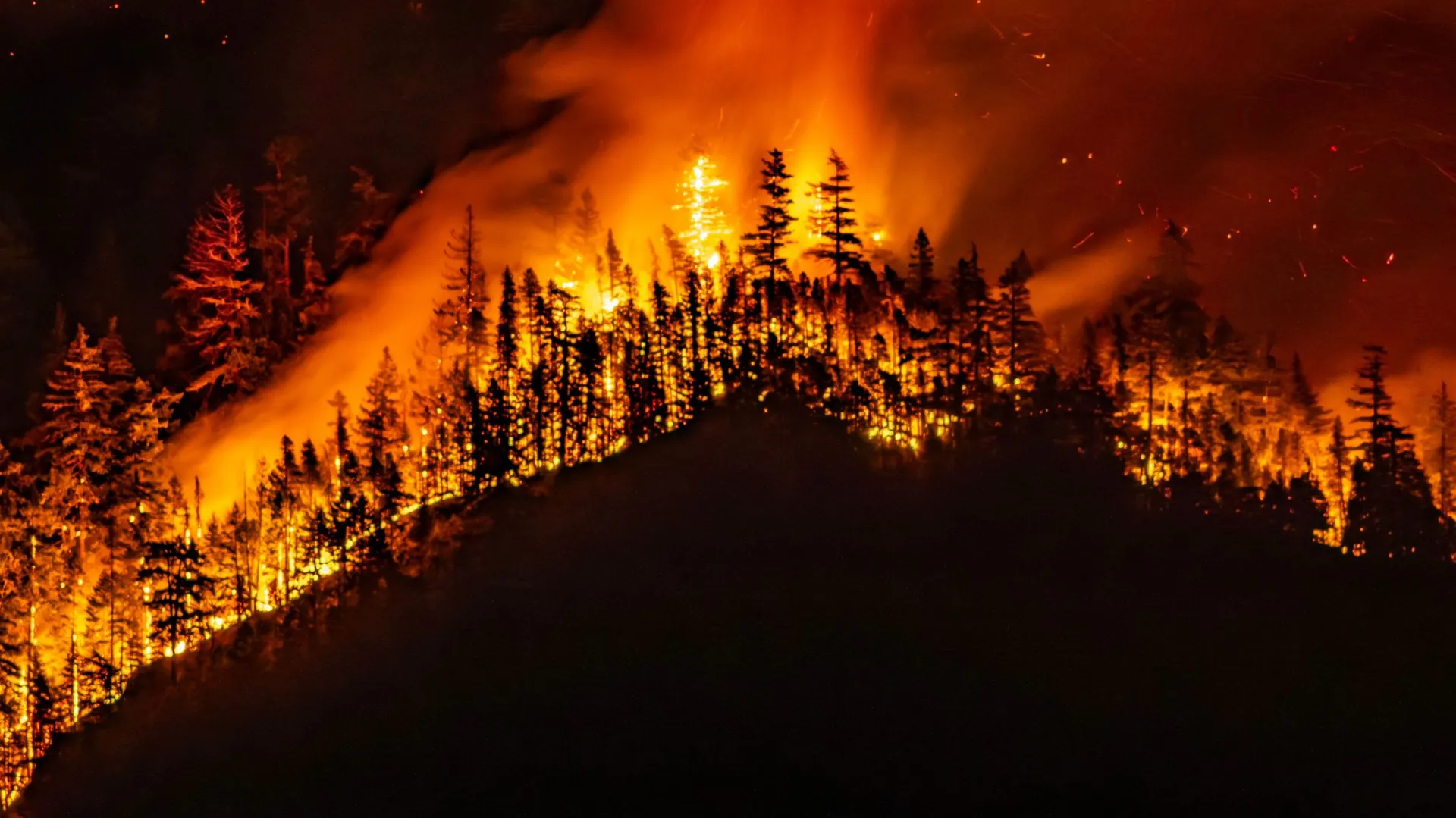 Discriminations lors des incendies de forêt en Californie : enquête en cours image 2cae43ef 1139 43ce a8a7 2a890e4c79b3.png