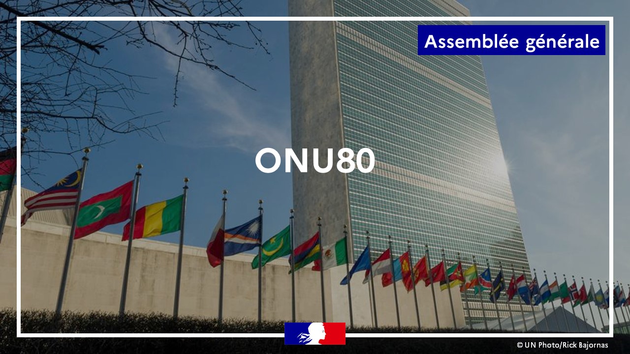 France ONU destitution : Pourquoi la colère contre Albanese ? image 57d79985 5f61 4996 8ff1 5045235bf687.png