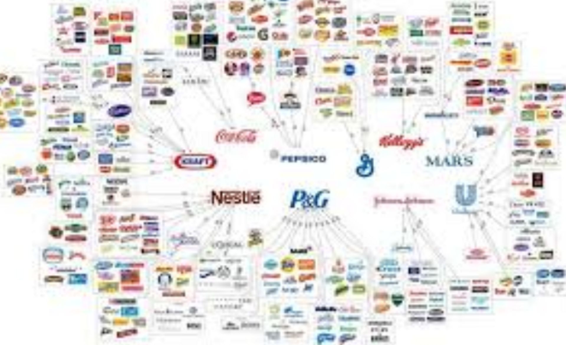 Entreprises multinationale numériques : l'impact de Donald Trump sur leur image image ba0c7168 a32b 4a1f b0a9 745c51ddab76.png