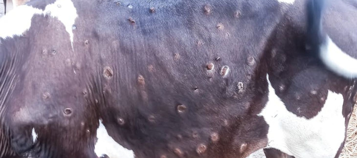 image 72120e8c 3517 487b ab2c 18ad65be7fd2.png