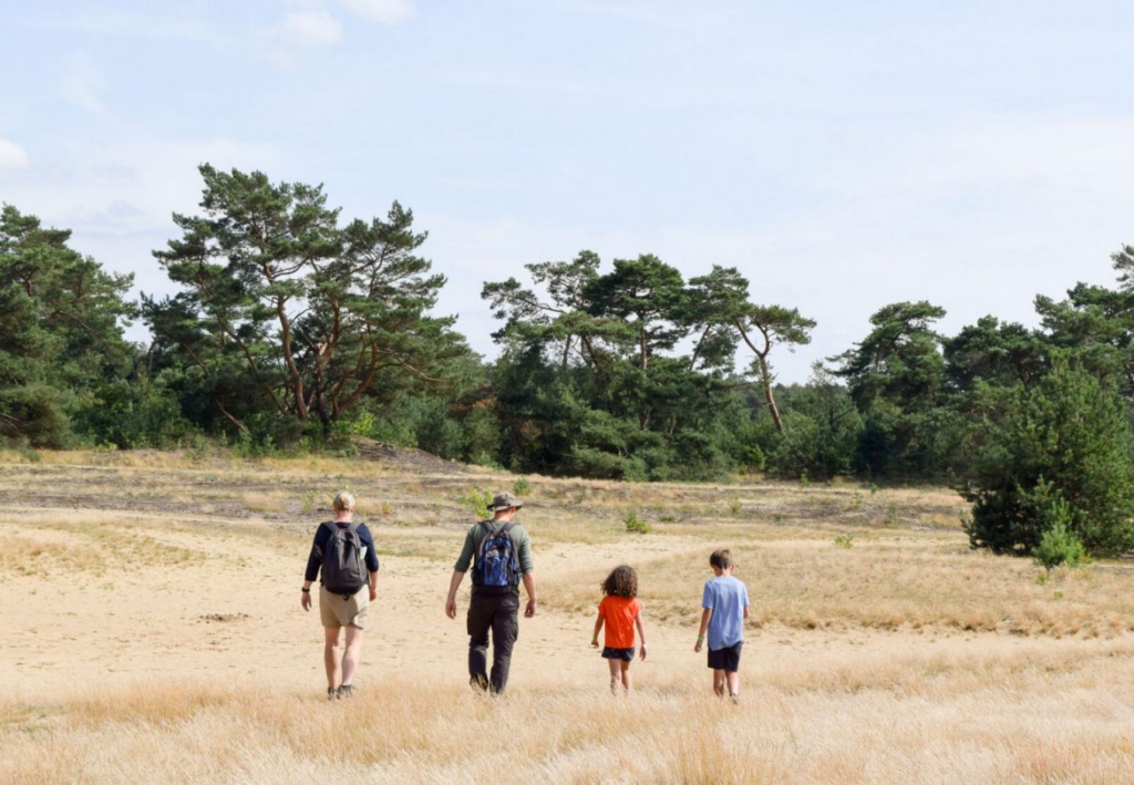 Balen : Une Victoire Écrasante aux Élections Parlementaires Népalaises image c8a7ece2 45ed 4d80 8a77 ba80eb98dda0.png